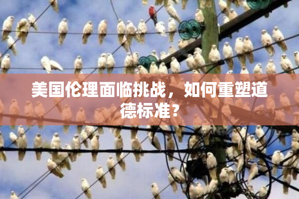 美国伦理面临挑战，如何重塑道德标准？
