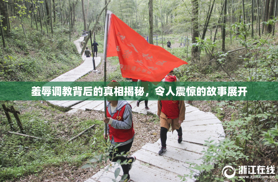 羞辱调教背后的真相揭秘，令人震惊的故事展开