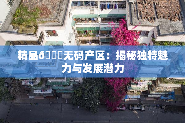 精品🌃无码产区：揭秘独特魅力与发展潜力