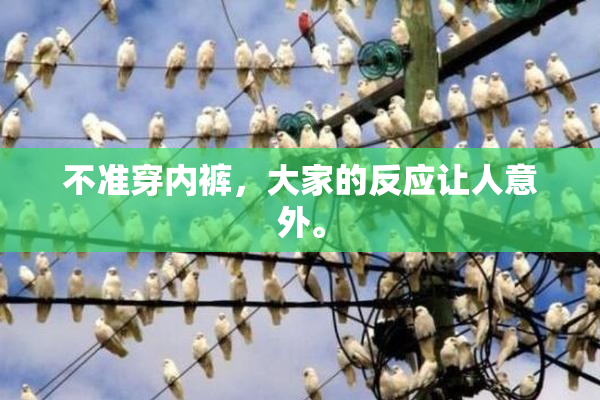不准穿内裤，大家的反应让人意外。