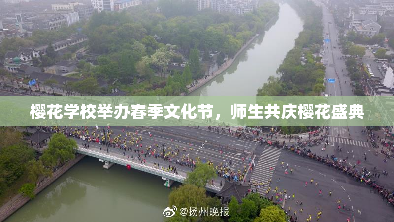 樱花学校举办春季文化节，师生共庆樱花盛典