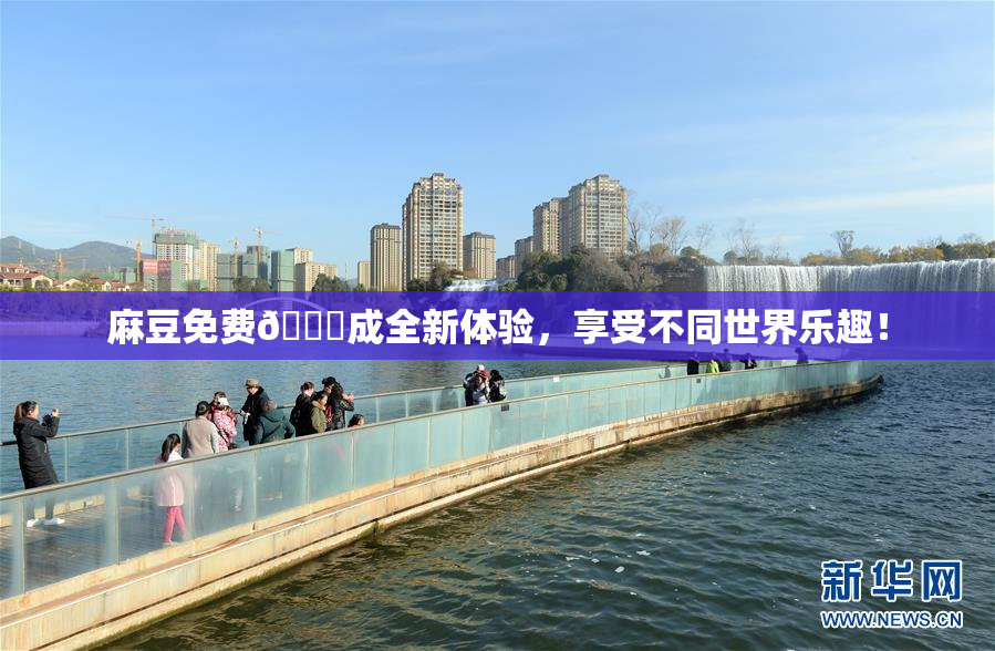 麻豆免费🔞成全新体验，享受不同世界乐趣！