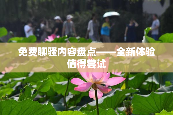 免费聊骚内容盘点——全新体验值得尝试