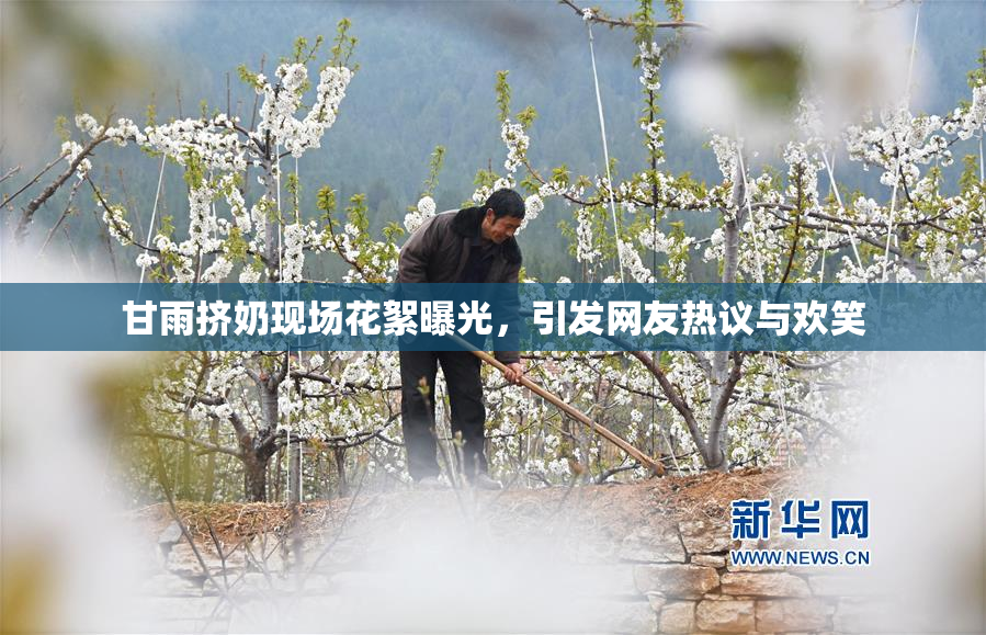 甘雨挤奶现场花絮曝光，引发网友热议与欢笑