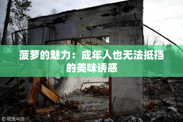 菠萝的魅力：成年人也无法抵挡的美味诱惑