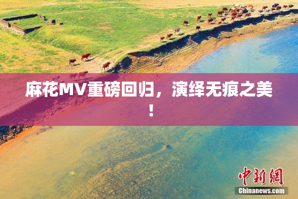 麻花MV重磅回归，演绎无痕之美！