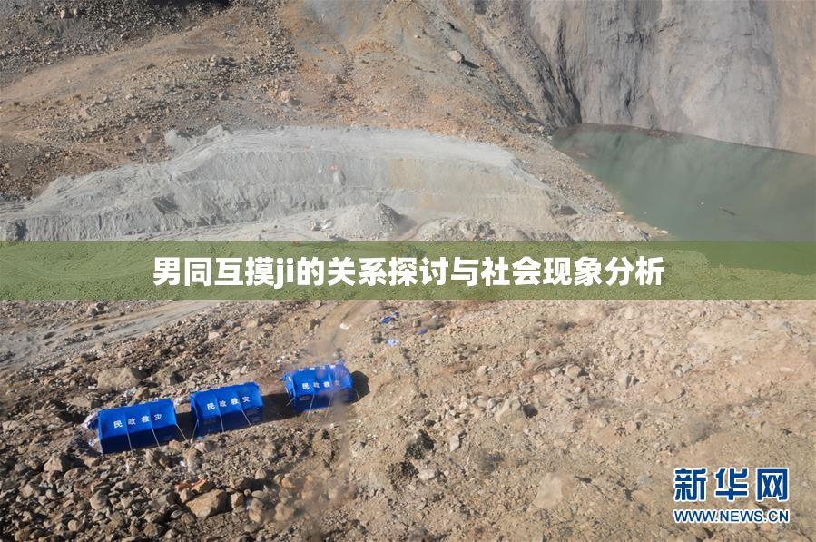男同互摸ji的关系探讨与社会现象分析
