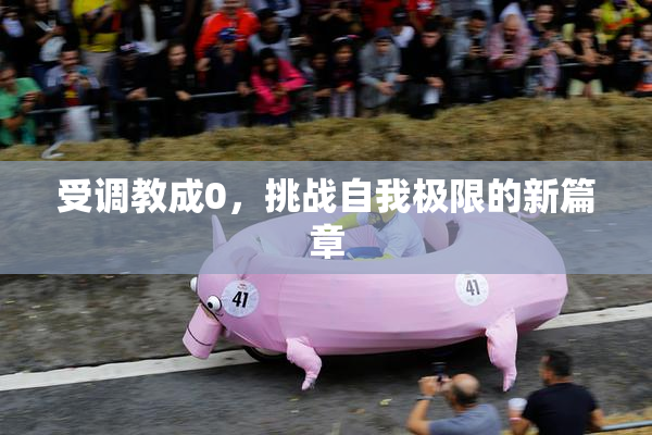 受调教成0，挑战自我极限的新篇章