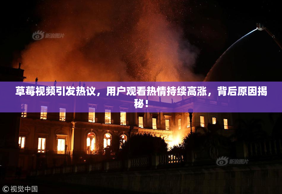 草莓视频引发热议，用户观看热情持续高涨，背后原因揭秘！
