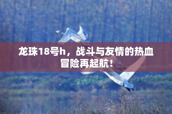 龙珠18号h，战斗与友情的热血冒险再起航！