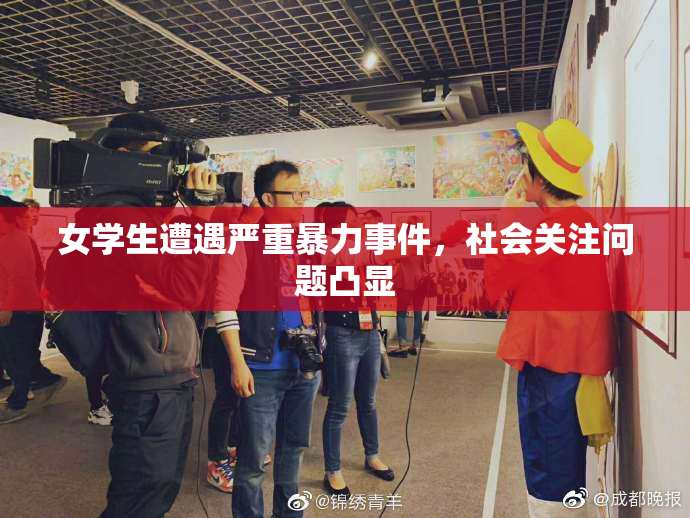 女学生遭遇严重暴力事件，社会关注问题凸显