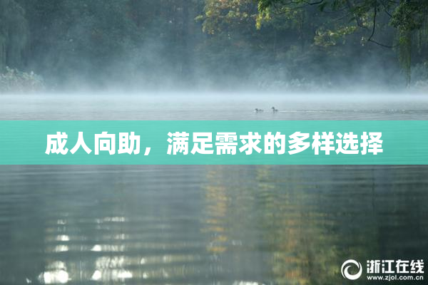 成人向助，满足需求的多样选择
