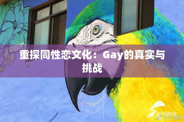 重探同性恋文化：Gay的真实与挑战