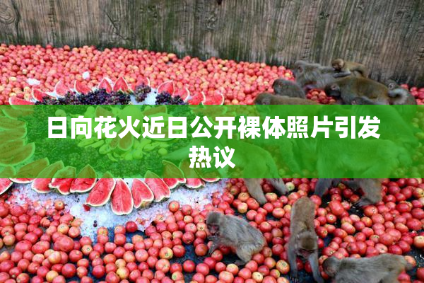 日向花火近日公开裸体照片引发热议