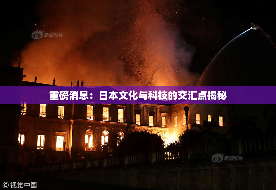 重磅消息：日本文化与科技的交汇点揭秘