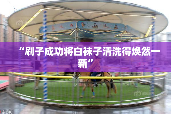 “刷子成功将白袜子清洗得焕然一新”