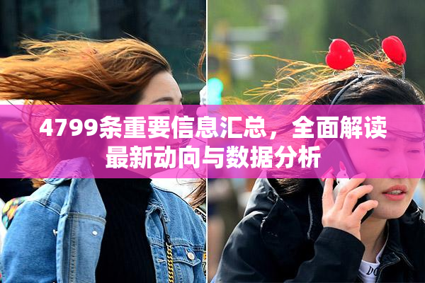 4799条重要信息汇总，全面解读最新动向与数据分析
