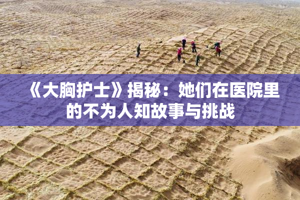 《大胸护士》揭秘：她们在医院里的不为人知故事与挑战