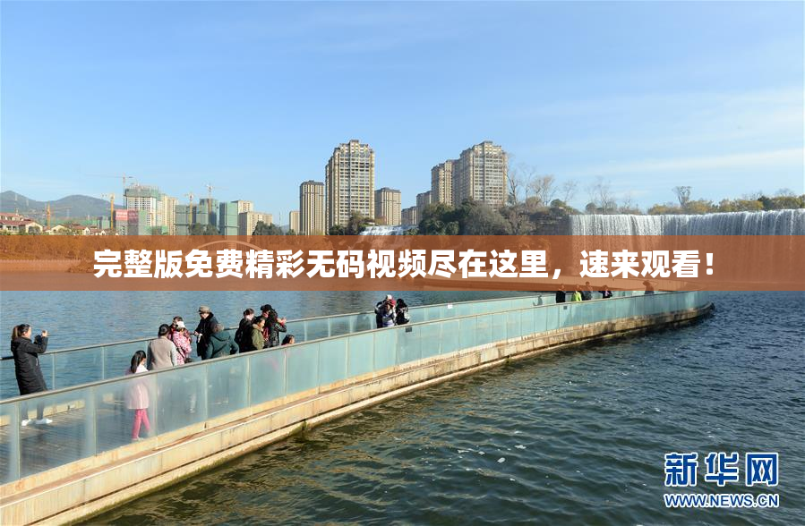 完整版免费精彩无码视频尽在这里，速来观看！