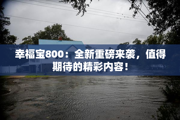 幸福宝800：全新重磅来袭，值得期待的精彩内容！