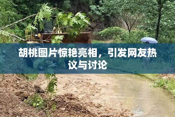 胡桃图片惊艳亮相，引发网友热议与讨论