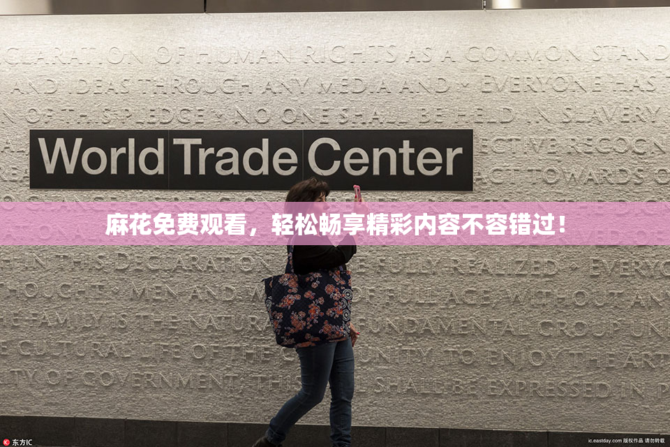 麻花免费观看，轻松畅享精彩内容不容错过！