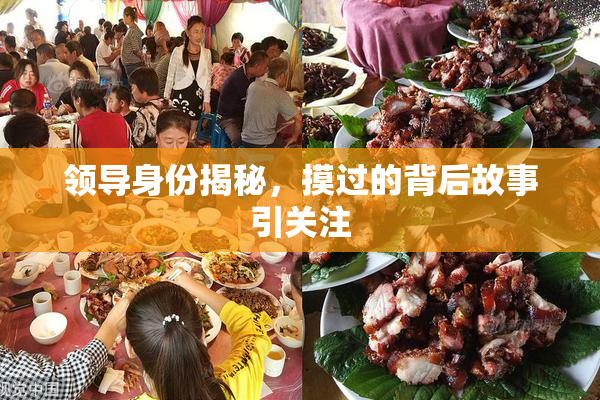 领导身份揭秘，摸过的背后故事引关注