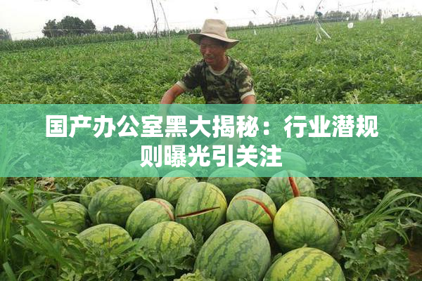 国产办公室黑大揭秘：行业潜规则曝光引关注