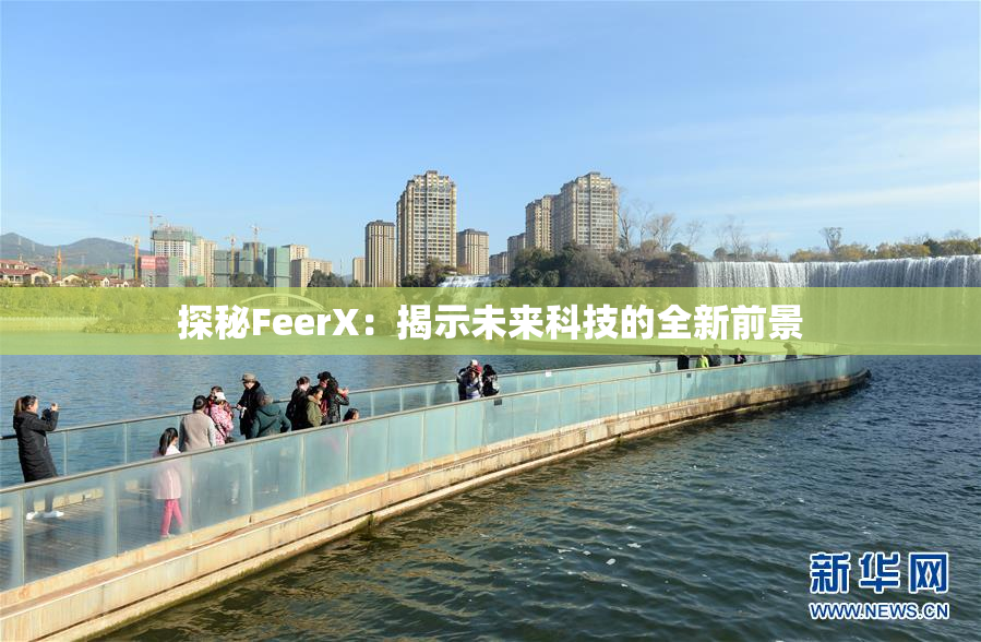 探秘FeerX：揭示未来科技的全新前景