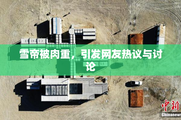 雪帝被肉重，引发网友热议与讨论