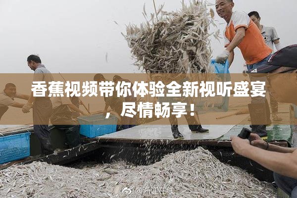 香蕉视频带你体验全新视听盛宴，尽情畅享！