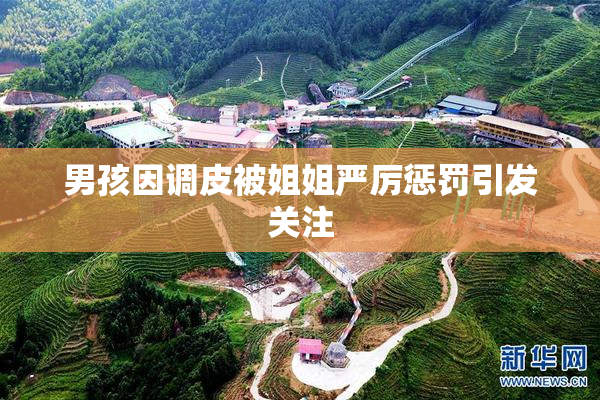 男孩因调皮被姐姐严厉惩罚引发关注