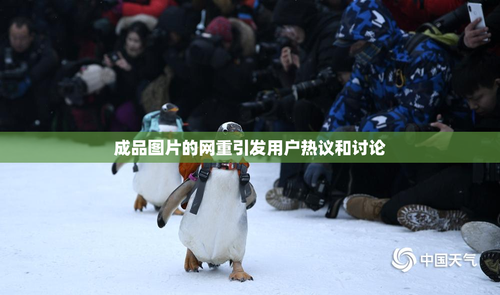 成品图片的网重引发用户热议和讨论