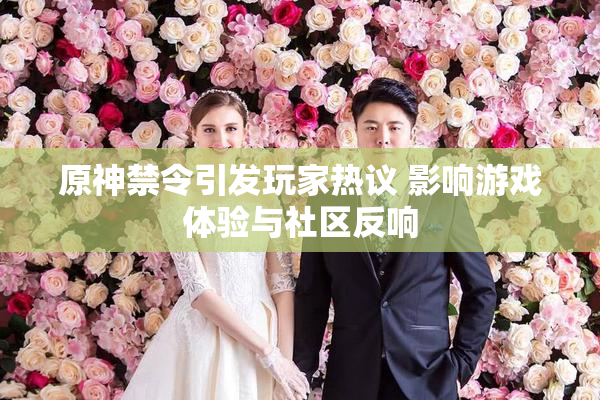 原神禁令引发玩家热议 影响游戏体验与社区反响