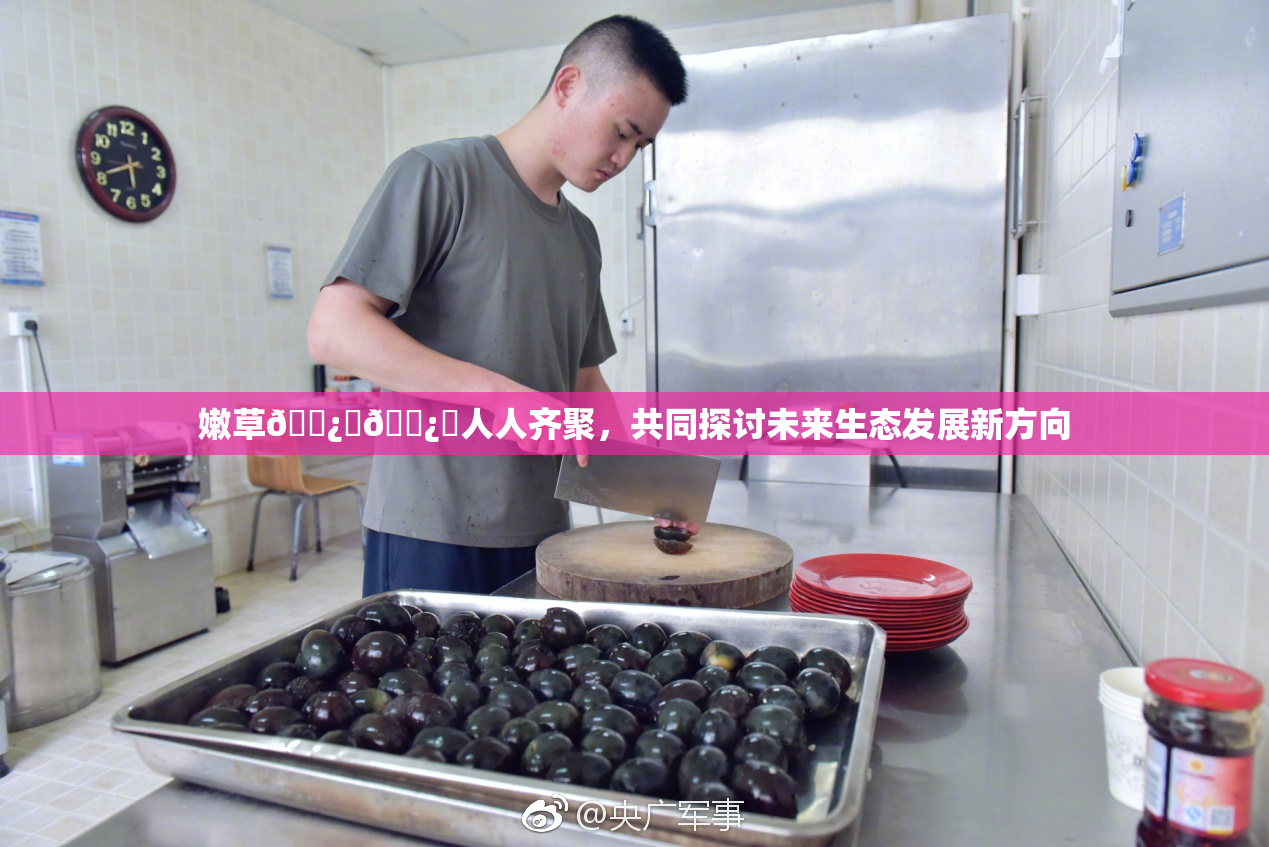 嫩草🌿‌🌿‌人人齐聚，共同探讨未来生态发展新方向
