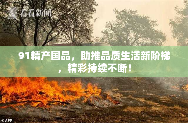 91精产国品，助推品质生活新阶梯，精彩持续不断！