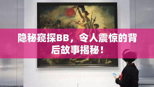 隐秘窥探BB，令人震惊的背后故事揭秘！