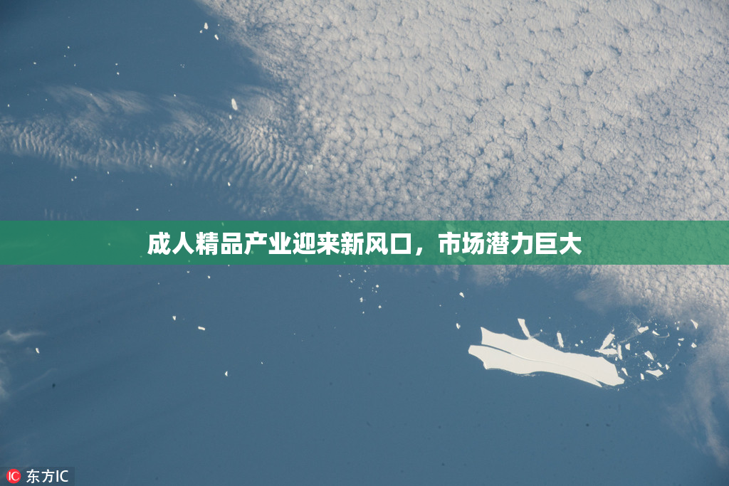 成人精品产业迎来新风口，市场潜力巨大