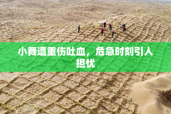 小舞遭重伤吐血，危急时刻引人担忧