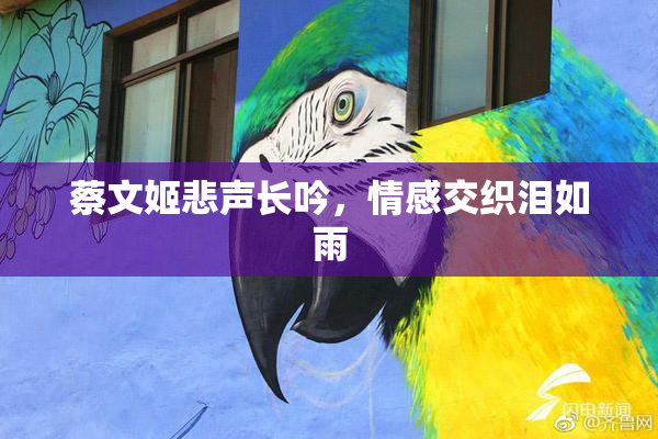 蔡文姬悲声长吟，情感交织泪如雨