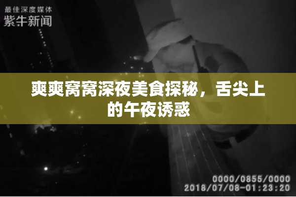 爽爽窝窝深夜美食探秘，舌尖上的午夜诱惑