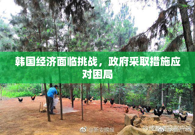 韩国经济面临挑战，政府采取措施应对困局