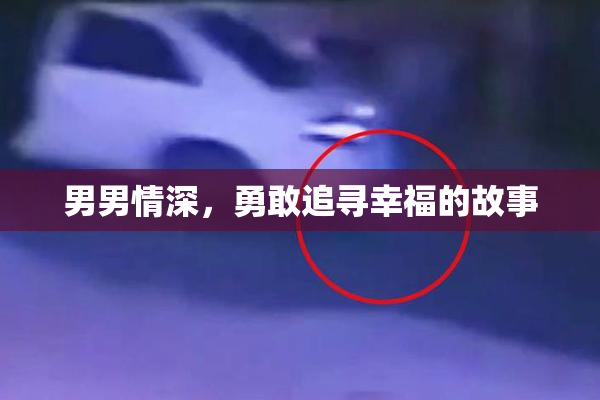 男男情深，勇敢追寻幸福的故事