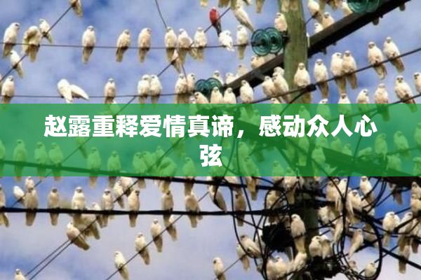 赵露重释爱情真谛，感动众人心弦