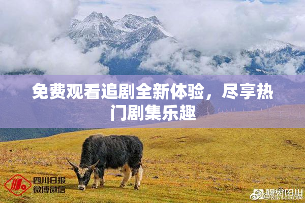 免费观看追剧全新体验，尽享热门剧集乐趣