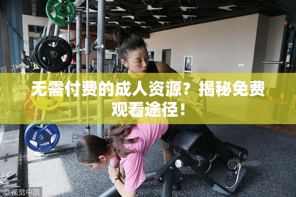 无需付费的成人资源？揭秘免费观看途径！