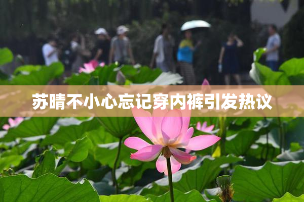 苏晴不小心忘记穿内裤引发热议