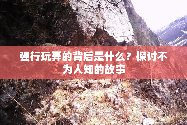 强行玩弄的背后是什么？探讨不为人知的故事