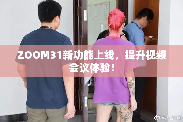 ZOOM31新功能上线，提升视频会议体验！