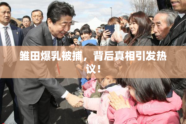 雏田爆乳被捕，背后真相引发热议！